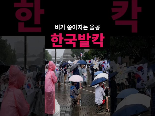 (속보) 폭우 속 잠실 올림픽공원 한국발칵..