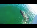 Jeff hubbard  bodyboard 2018