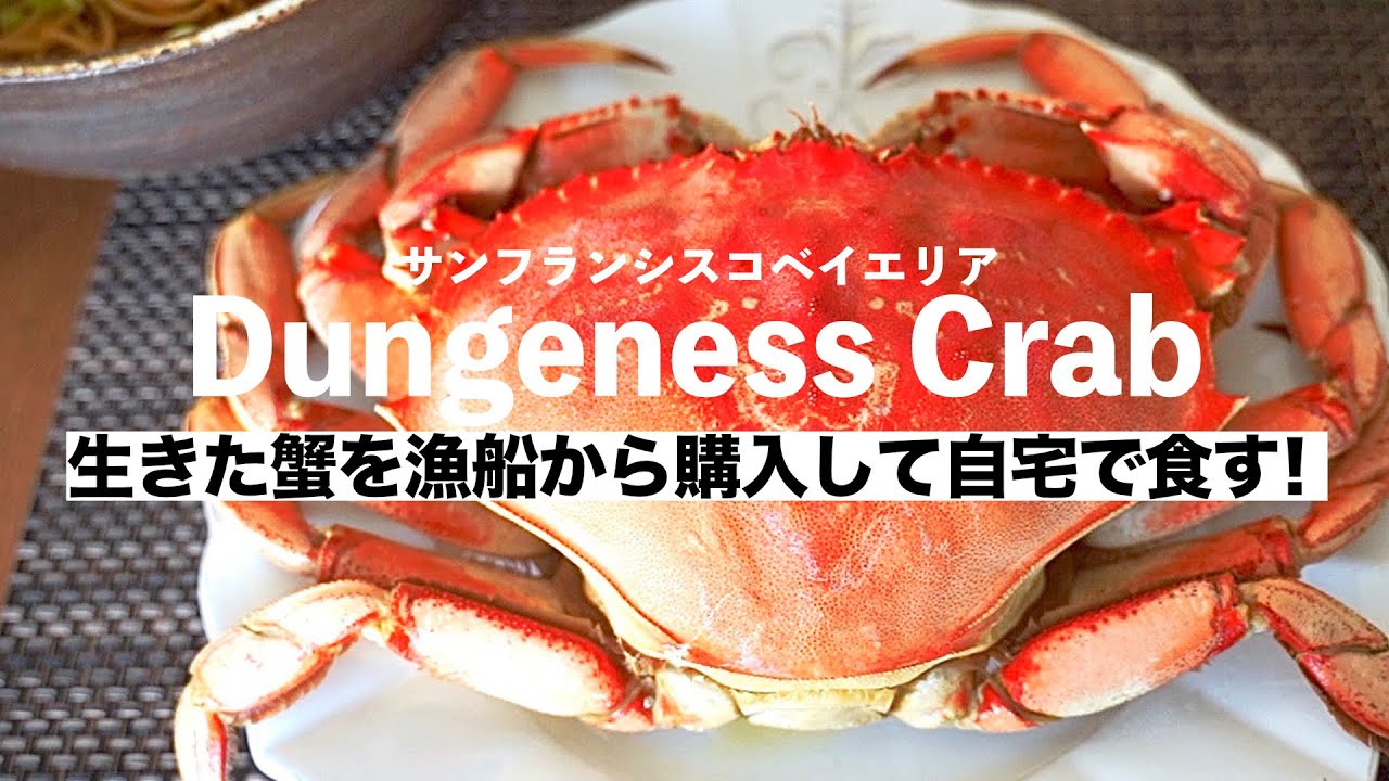 楽しい美味しいダンジネスクラブ🦀 生きた蟹を漁船から購入して自宅で