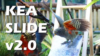 An Update on the Kea Slide Project