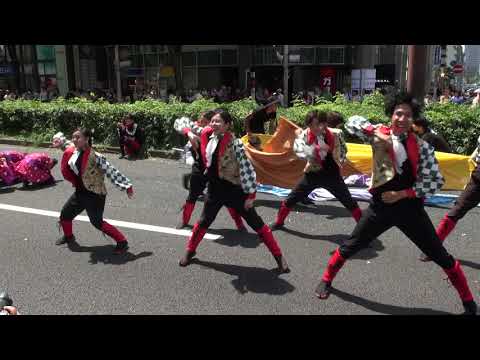 近畿大学 洗心（にっぽんど真ん中祭り2019）大津通り　東コース