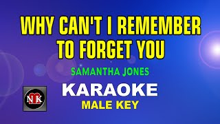 Why Cant I Remember To Forget You  Karaoke  Male Key   Samantha Jonesnuansamusikkaraoke
