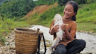 Primitive fishing skills, catching carp & catfish during flood season, harvesting fishing for sale