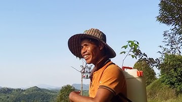 Jangan coba mikat serindit di port lembah poring tompinai.