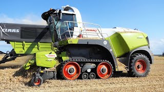 Claas Jaguar 960 TT in the field chopping straw for Biogas Plant | DK Agriculture | Harvest Season