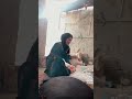 طها الخبز على الصاج