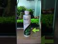 How To Control Aquarium Algae With Seachem Flourish Excel | Easy Beginner Tips