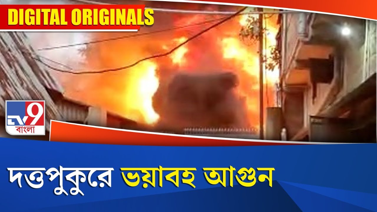 Fire In Duttapukur: দত্তপুকুরে ভয়াবহ আগুন