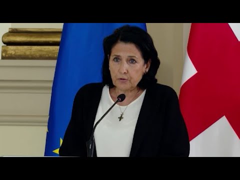 რისი უფლება ჰქონდა სალომე ზურაბიშვილს და რისი - არა - \"ოცნება\" რეზიდენტის წინააღმდეგ