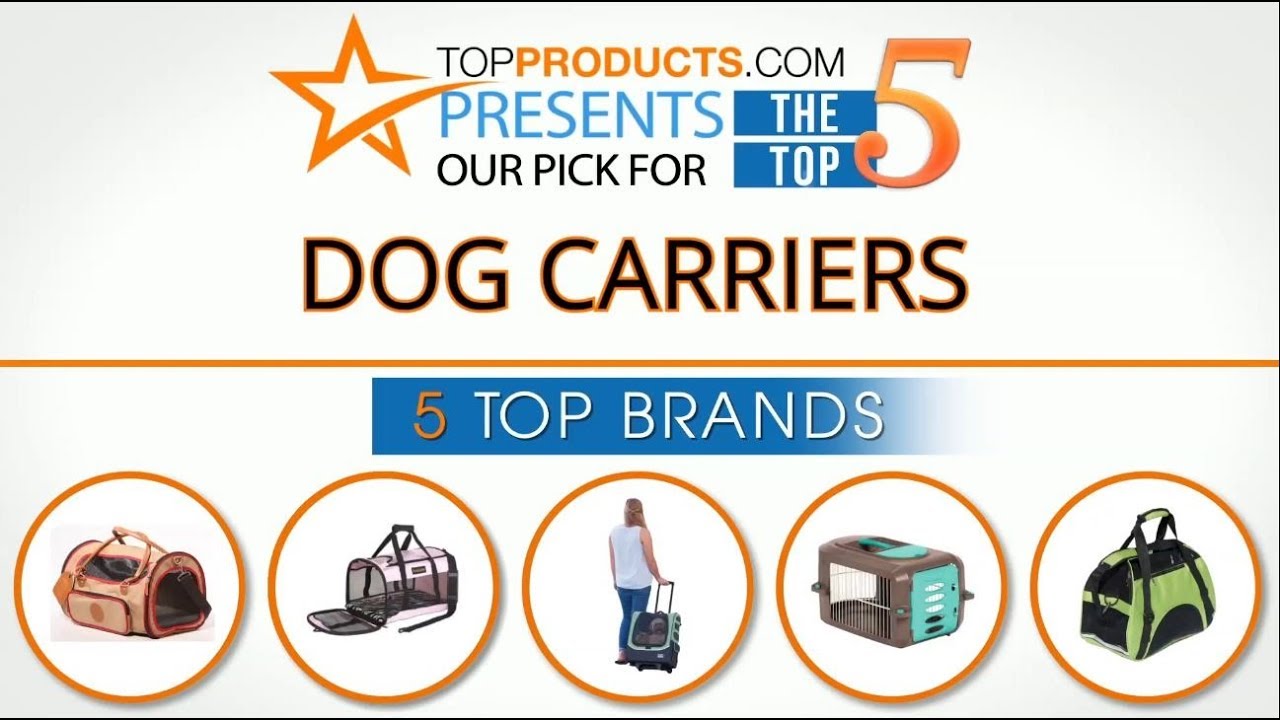 Best Dog Carrier Reviews How to Choose the Best Dog Carrier YouTube