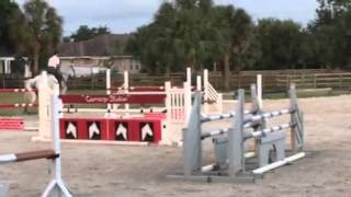 Uganda 12yo mare