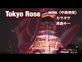 AKINA(中森明菜)Tokyo Rose (カラオケ)原曲キー