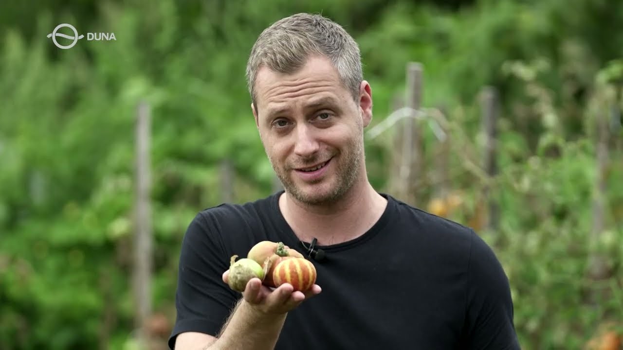 Különleges vetemények a konyhakertben | Főmenü mini