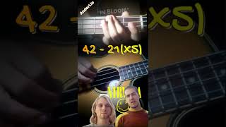 Video thumbnail of "Nirvana - "in bloom" (acoustic bass guitar)"