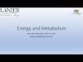 Ch 4 Energy and Metabolism