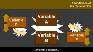 Foundations Of Microeconomics And Ceteris Paribus Economics 6.1