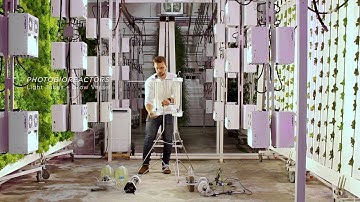 AEE, ALASKA: PERMAFROST PHOTOBIOREACTOR