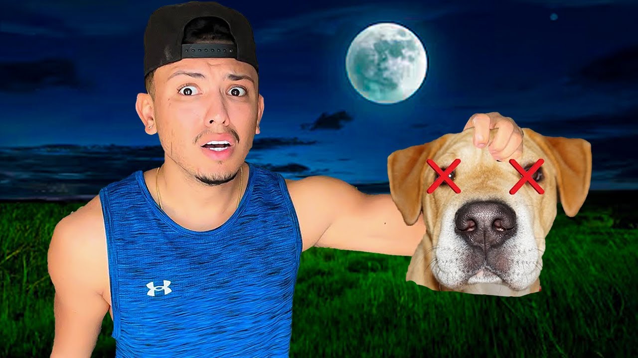 WHO WOULD DO THIS TO MY DOG!?