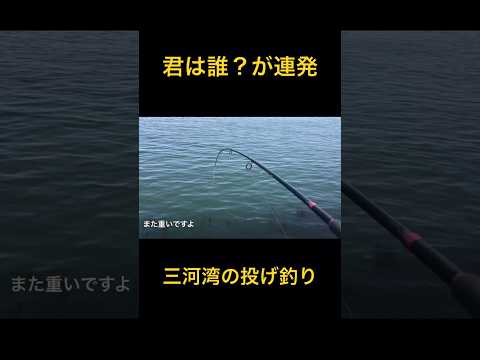 君は誰？が連発のキス釣り 三河湾#三河湾 #君は誰 #投げ釣り