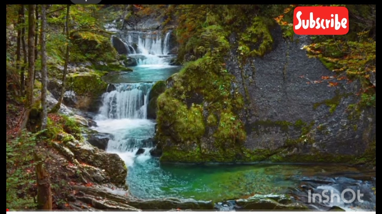 The Beauty of Earth 🌍 