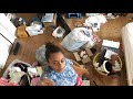 CLEANING EXTREMELY MESSY ROOM *SATISFYING TIME LAPSE*