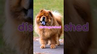TOP 5 MOST EXPENSIVE DOG BREEDS! #shorts #facts