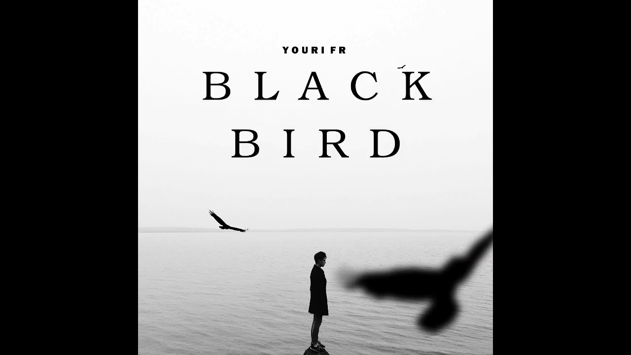 black bird