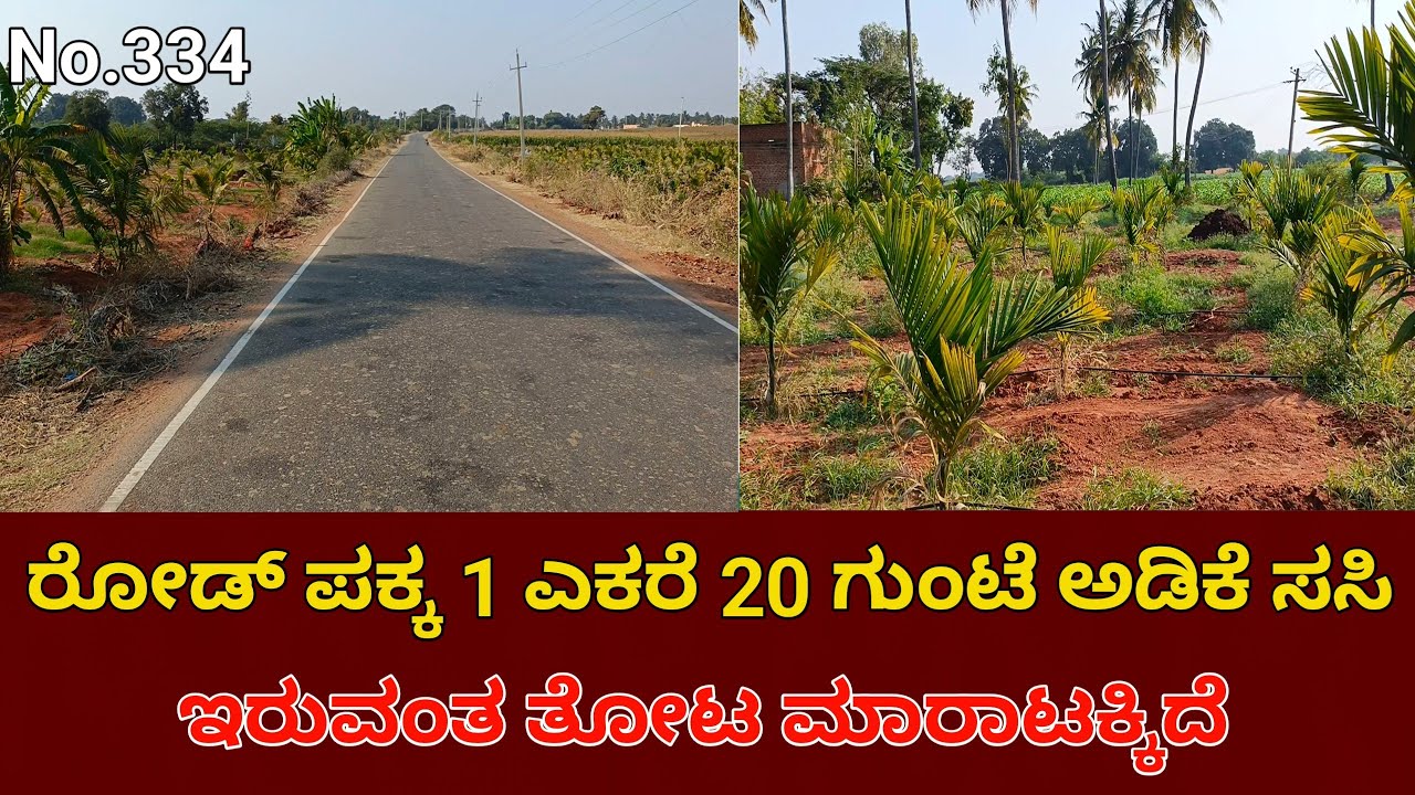 General Property – Agriculture Land for Sale | Near Challakere | Chitradurga District Karnataka