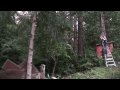 Zip line to the treehouse