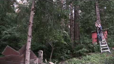 Zip line to the treehouse