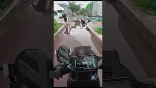 Oops How To Fix Kitchen Mistakes Fast