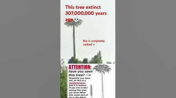 lepidodendron bro is so cooked💀 #lepidodendron