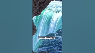 تلاوة خاشعة من سورة المنافقون ، الآيات من  9 لـ 11