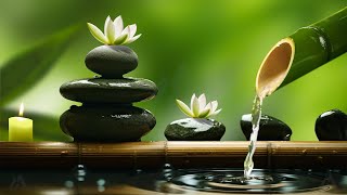 Relaxing Zen Music 24/7 - Bamboo, Relaxing Music, Meditation Music, Peaceful Music, Nature Sounds screenshot 2
