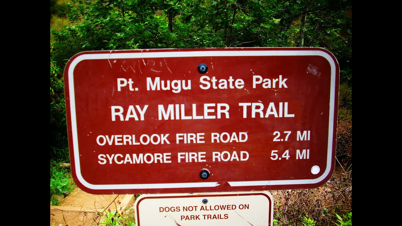 Hike Ray Miller Trail YouTube