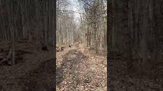 Old Fisk Road in Chester Fisk And Stone Rd