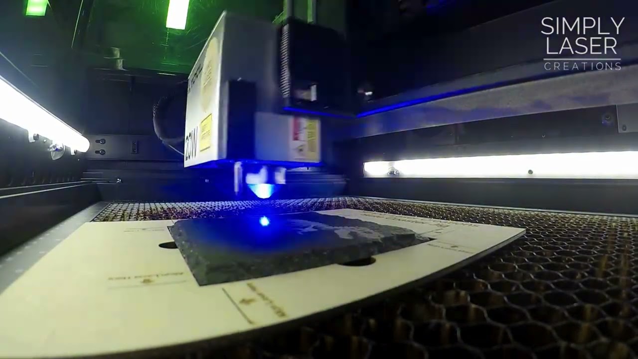 Time Lapse T-Rex Skeleton Coaster