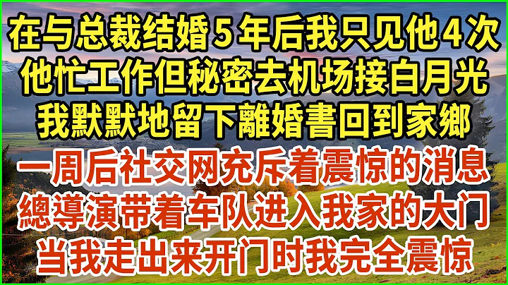 在與總裁結婚5年後我只見他4次，他忙工作但秘密去機場接白月光，我默默地留下離婚書回到家鄉，一周後社交網充斥着震驚的消息：總導演帶着車隊進入我家的大門，當我走出來開門時我完全震驚 #生活經驗 #情感故事 - 天天要聞