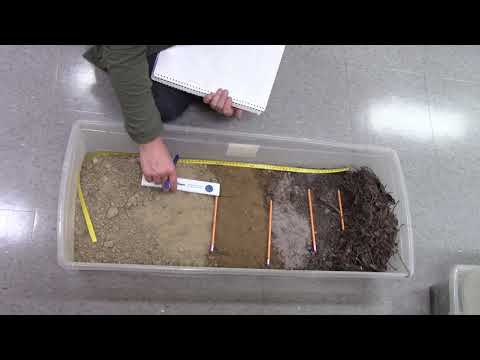 Video: What Is Podzolic Soil