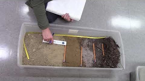 Podzolic Soil Profiles