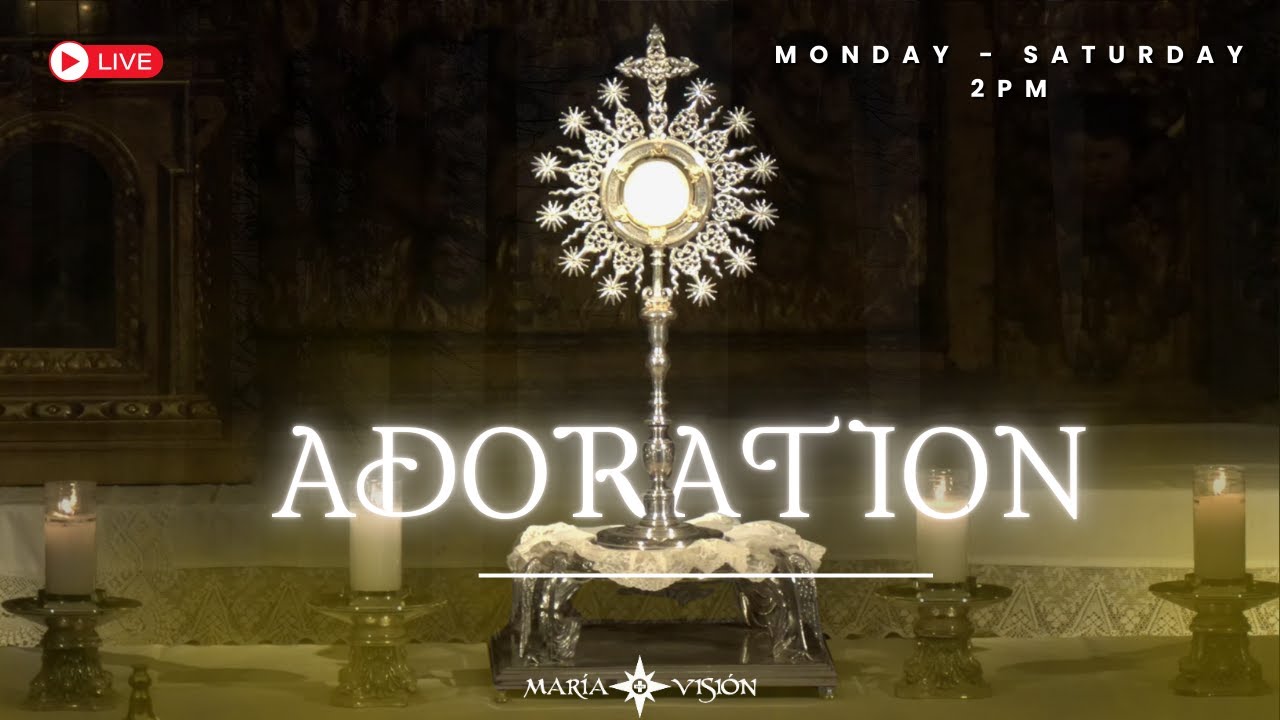 LIVE Adoration to the King of Kings | 27.01.2026 - YouTube