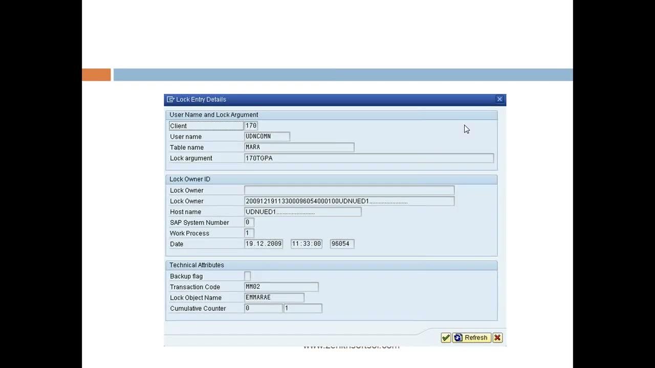 SAP Lock Entries YouTube