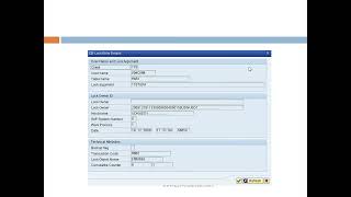 SAP Lock Entries