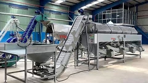 Raw cashew grading machine