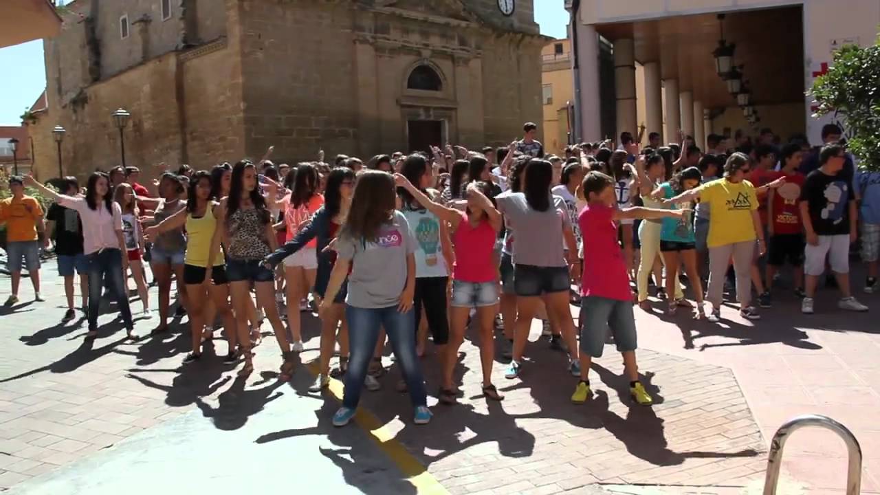 Flashmob INS Joan Solà What makes you beautiful
