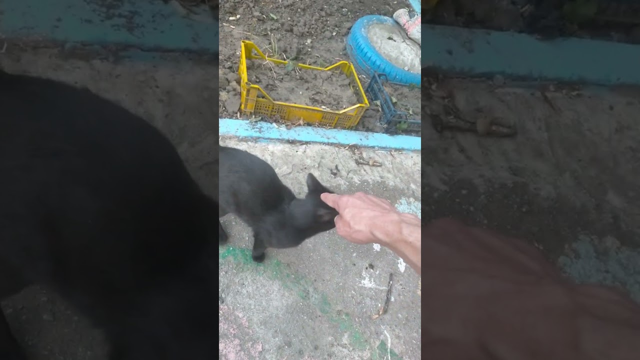 8 марта 2026 г.