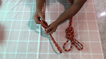 Double Loop Figure 8 or the Double Loop Bowline. Which Knot is King?