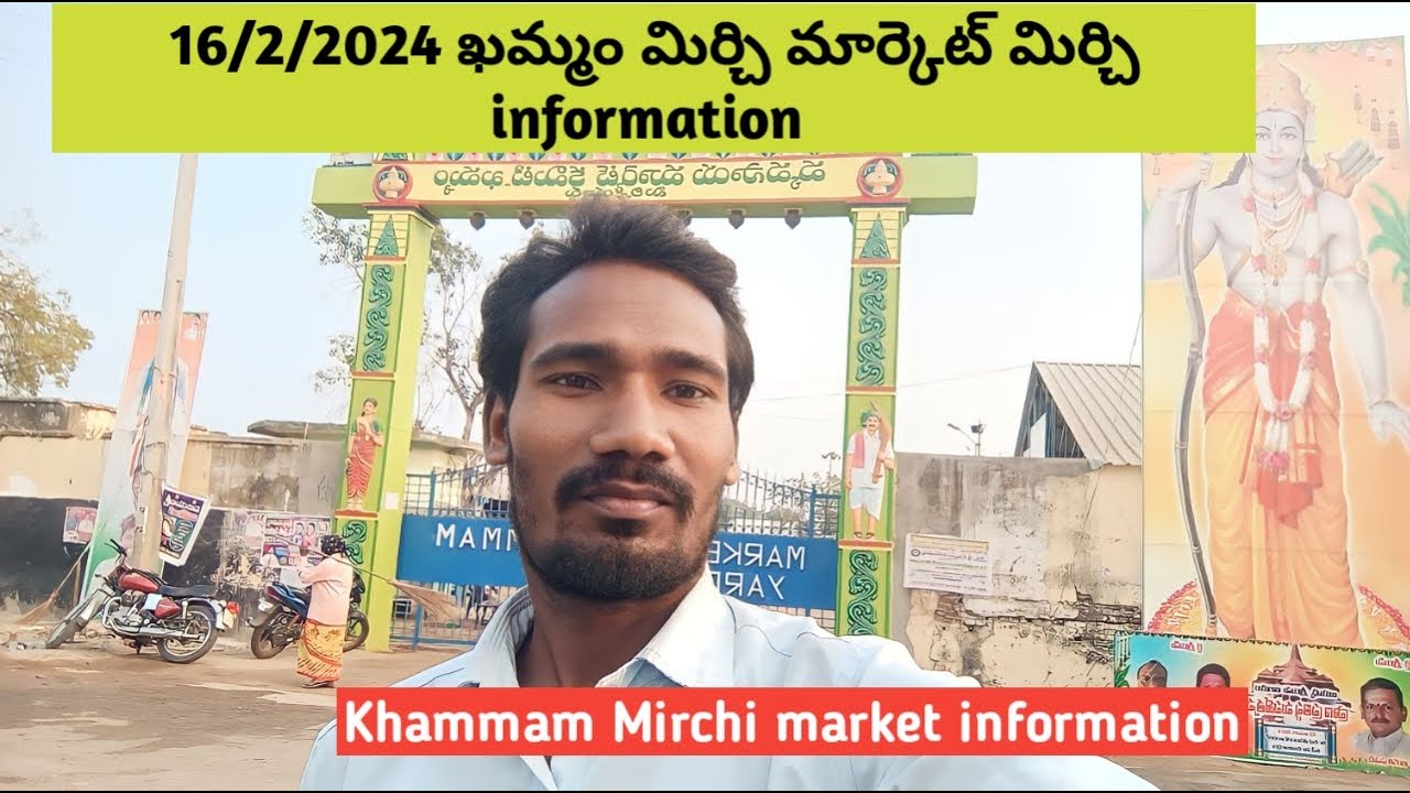 16/2/2024 Khammam Mirchi market information Khammam Mirchi market