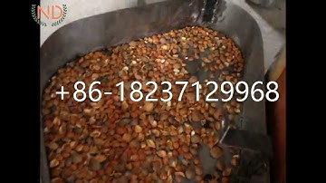 automatic almond hazelnut cracking and shelling machine filbert apricot kernel cracking machine