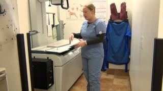 VET 122 Jenn Turner Radiography Technique Chart Video